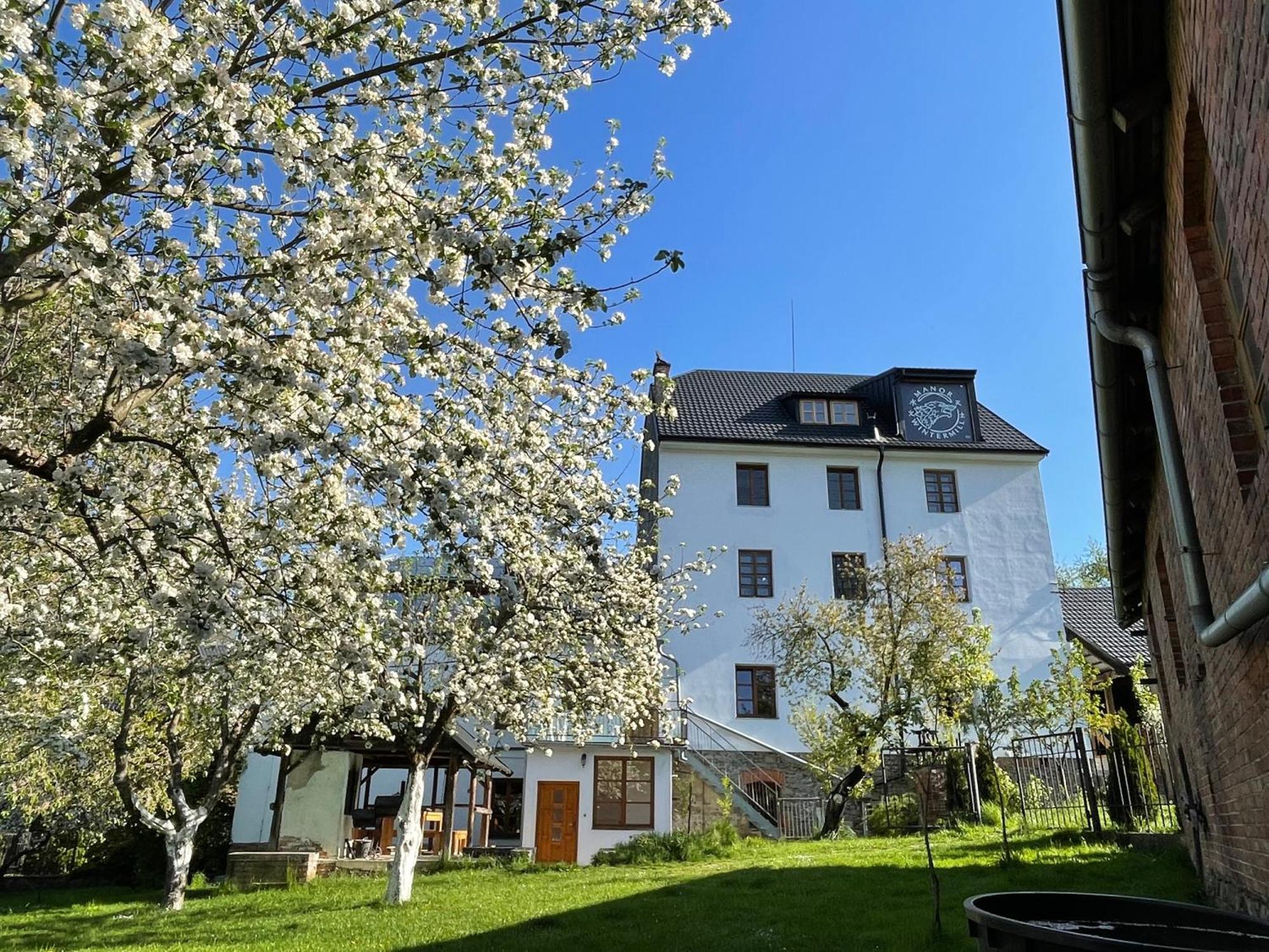 Wintermill * Laznicky